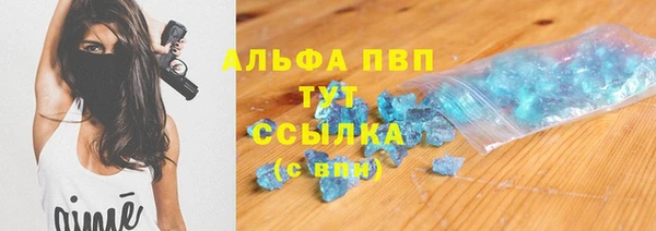 PSILOCYBIN Аркадак