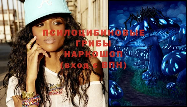 не бодяженный Арсеньев