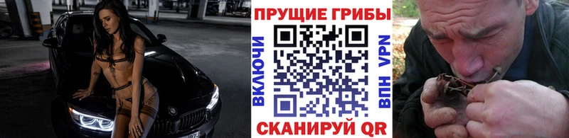 Псилоцибиновые грибы мухоморы  сколько стоит  Майкоп 